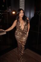 Chocolate Cowl-Neck Dress