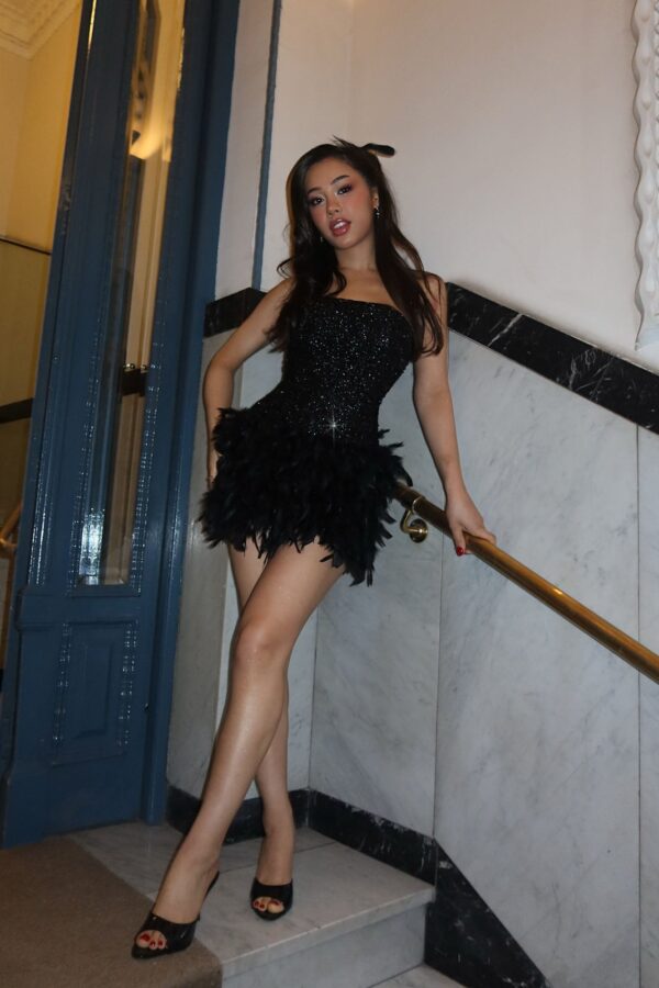 Zoey Feathered Sequin Mini Dress - Black