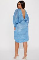 Blue Dress
