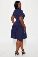 Navy Dress with mock neck