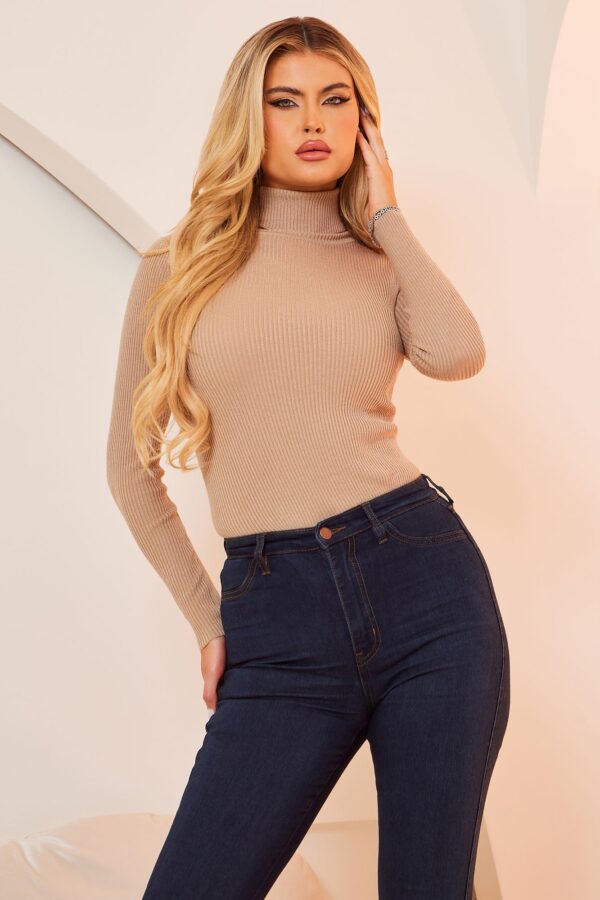 Turtleneck Sweater