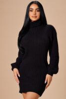 Dress with a turtle neck