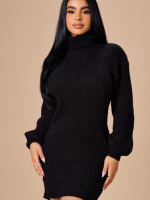 Dress with a turtle neck