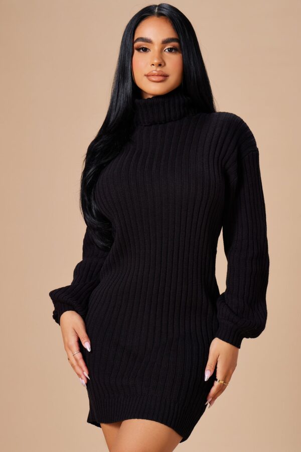 Dress with a turtle neck