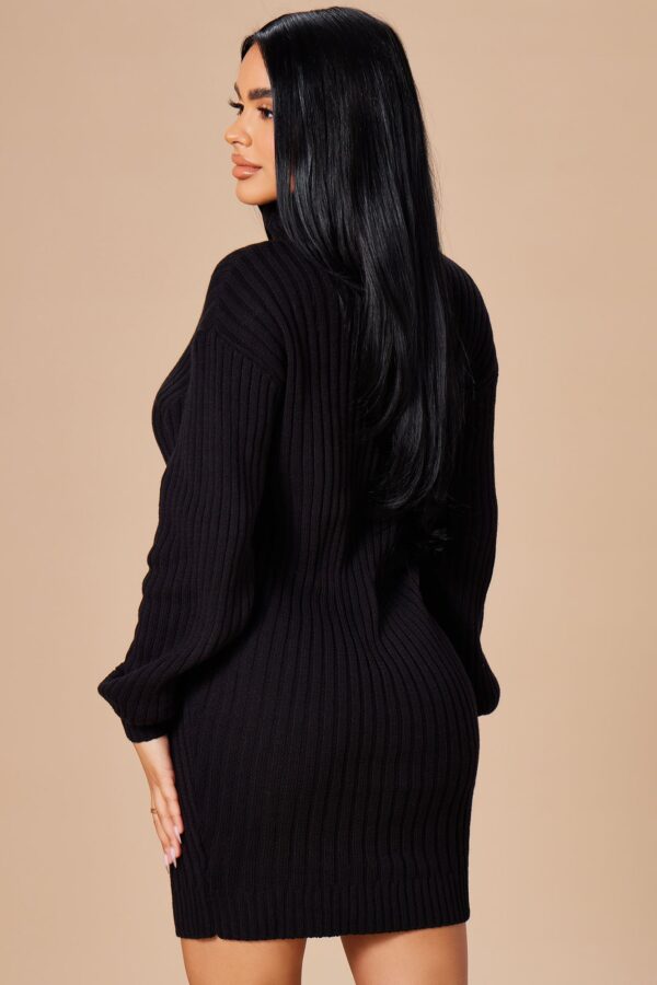 Dress with a turtle neck