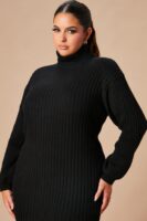 Dress with a turtle neck