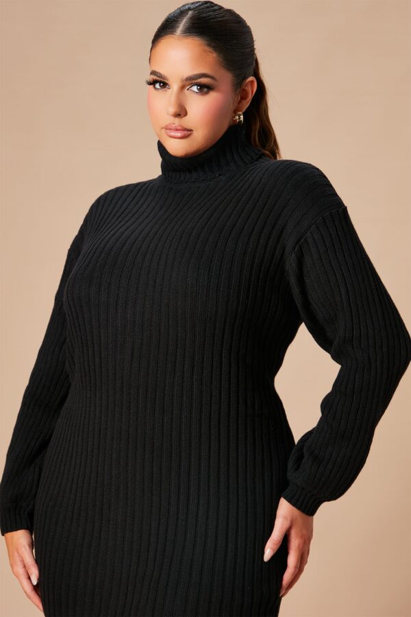 Dress with a turtle neck