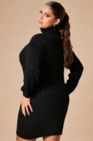 Dress with a turtle neck
