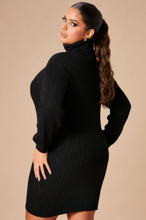 Dress with a turtle neck