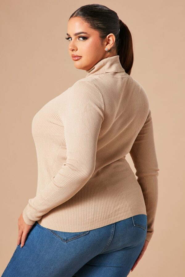 Turtleneck Sweater