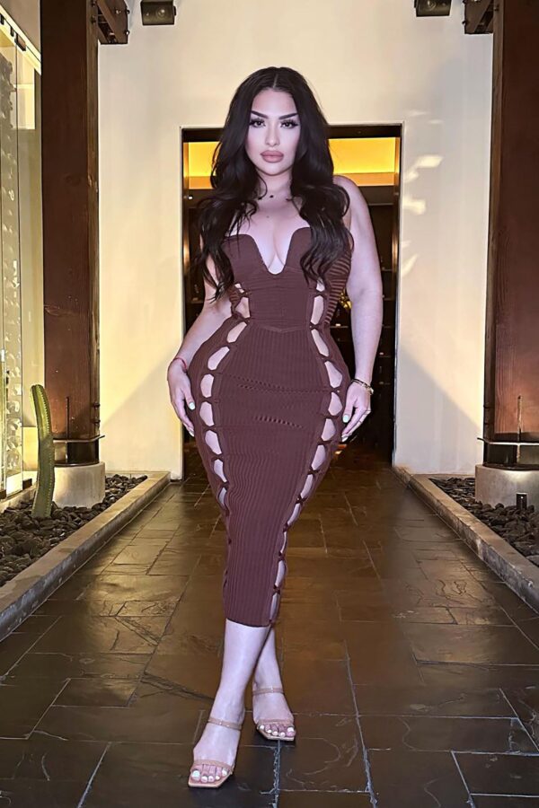 Brown V-Neck Dress