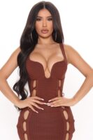 Brown V-Neck Dress