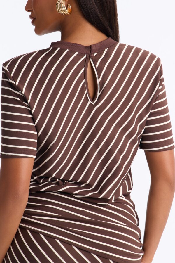 Brown Contrast Dress