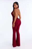 Cowl-Neck Jumpsuit in Burgundy