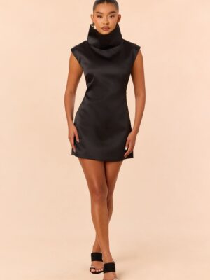 Black Dress with turtle neck