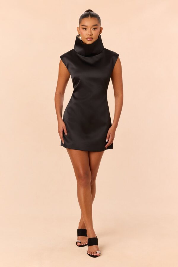Black Dress with turtle neck