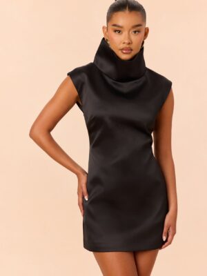Black Dress with turtle neck