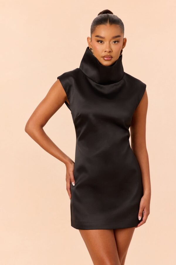 Black Dress with turtle neck