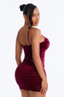 V-Neck Dress in Wine