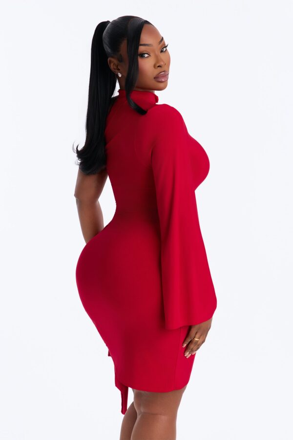 Dress in Red 96% polyester