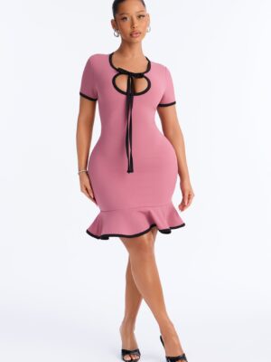 Set The Bar Short Sleeve Mini Dress - Mauve