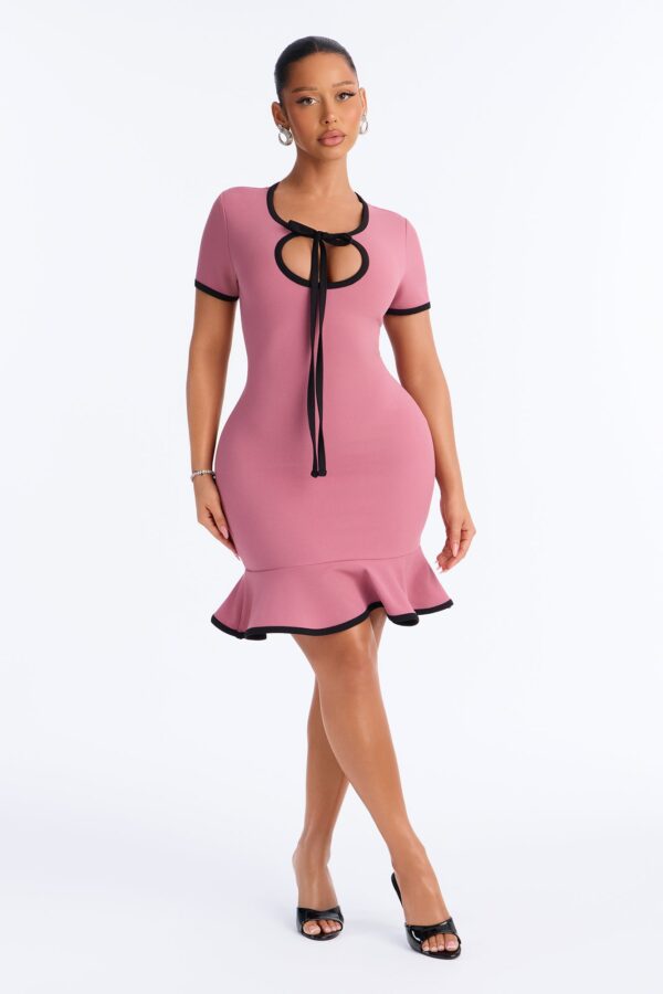 Set The Bar Short Sleeve Mini Dress - Mauve