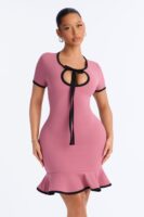 Set The Bar Short Sleeve Mini Dress - Mauve