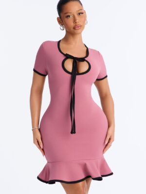 Set The Bar Short Sleeve Mini Dress - Mauve