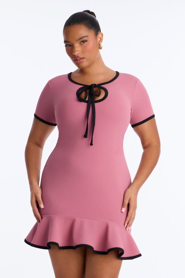 Set The Bar Short Sleeve Mini Dress - Mauve