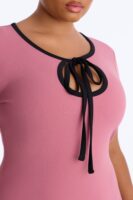 Set The Bar Short Sleeve Mini Dress - Mauve