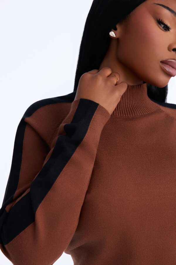 Turtleneck Sweater in Chocolate