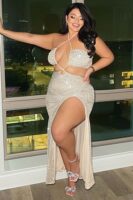 Maxi Dress in Silver