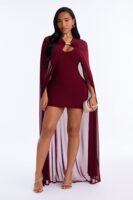 V-Neck Dress in Burgundy
