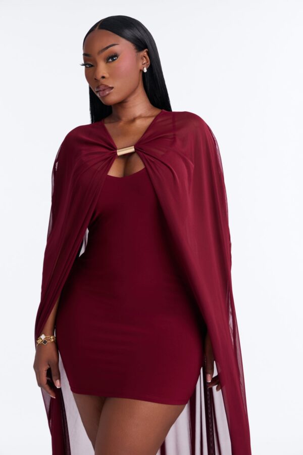 V-Neck Dress in Burgundy