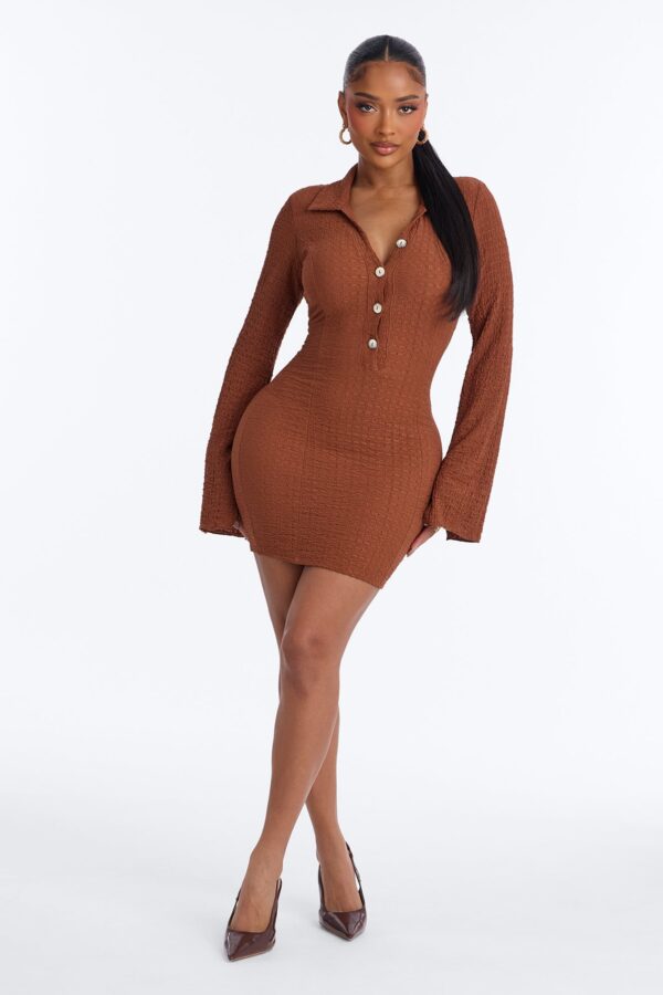 Brown Dress with mini