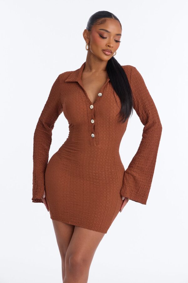 Brown Dress with mini