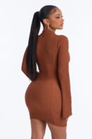 Brown Dress with mini