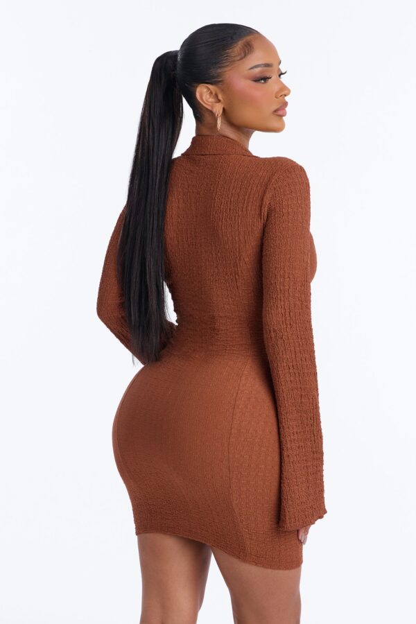 Brown Dress with mini