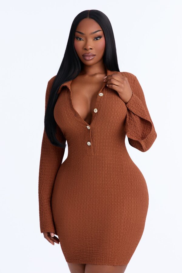 Brown Dress with mini