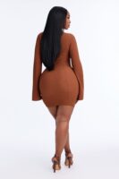 Brown Dress with mini
