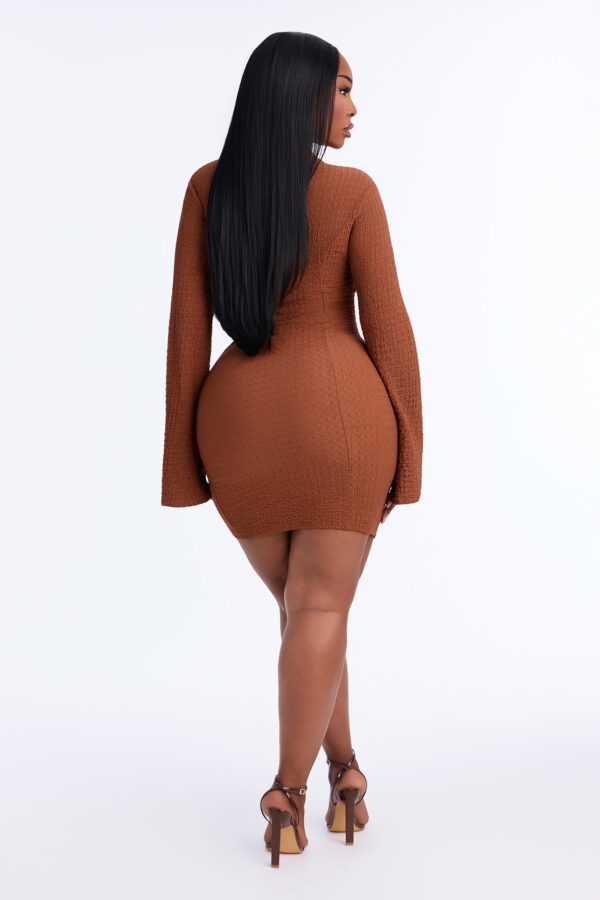Brown Dress with mini