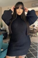 Dress with a turtle neck