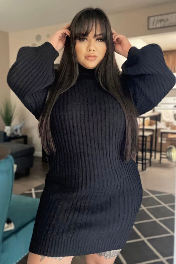 Dress with a turtle neck
