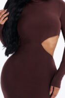 Brown Dress with mock neck