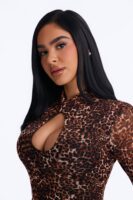 Dylan Long Sleeve Leopard Mesh Mini Dress - Leopard